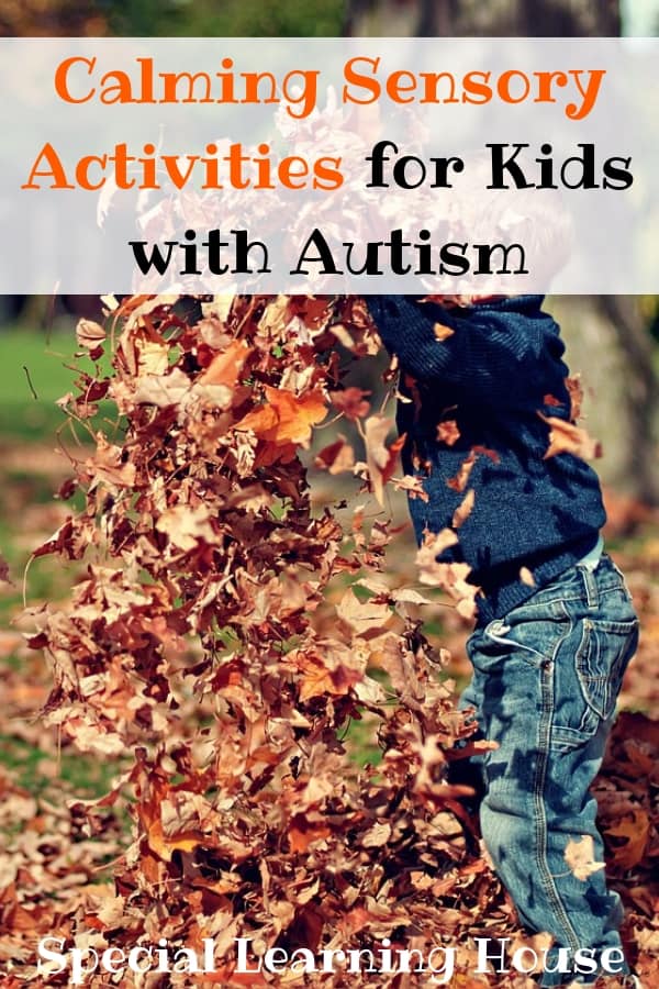 calming sensory activities for autism Special Learning House