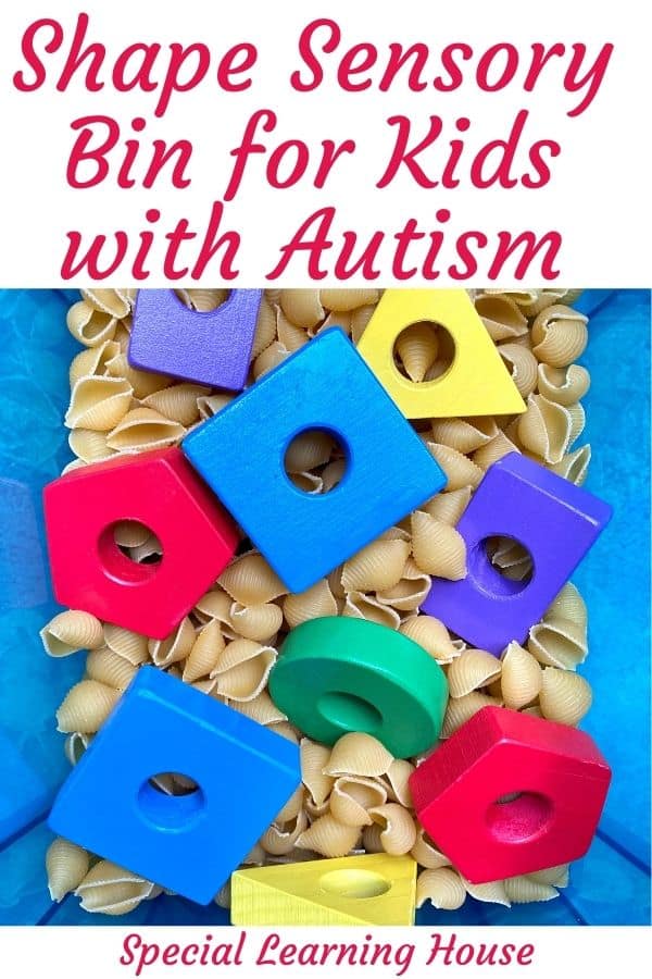 Shape Sensory Bin for Kids with Autism Special Learning House